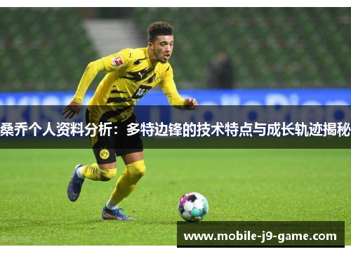 桑乔个人资料分析:多特边锋的技术特点与成长轨迹揭秘 桑乔个人资料分析:多特边锋的技术特点与成长轨迹揭秘