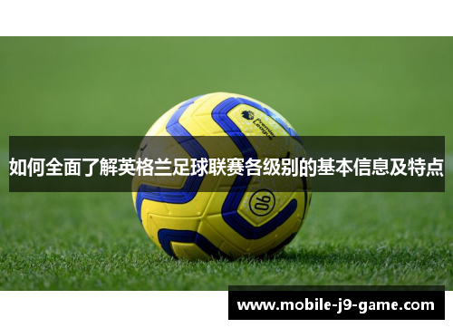 如何全面了解英格兰足球联赛各级别的基本信息及特点 如何全面了解英格兰足球联赛各级别的基本信息及特点