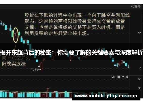 揭开东超背后的秘密:你需要了解的关键要素与深度解析 揭开东超背后的秘密:你需要了解的关键要素与深度解析